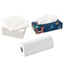 Keukenrollen / Servetten / Facial Tissues