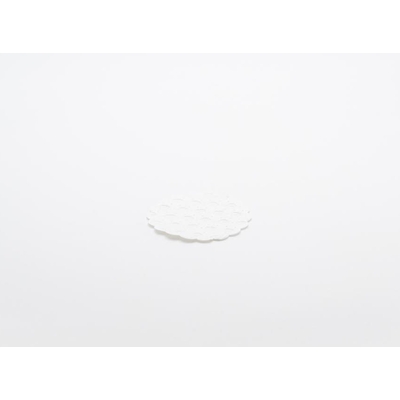 Coaster White