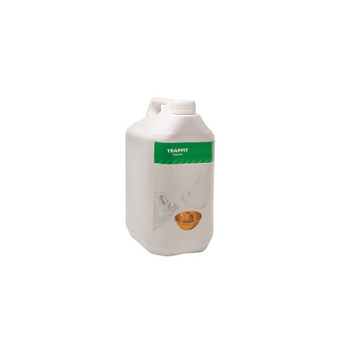 Wasp Trap Bait and
