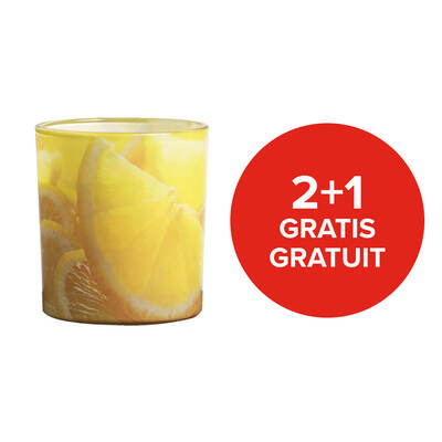 Citronella Candle In Glass