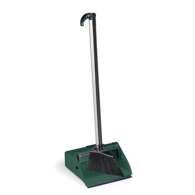 Jobby dustpan and brush