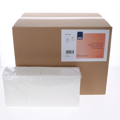 Napkins 33x33cm 2pl WHITE